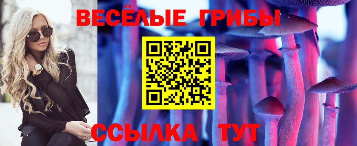 Псилоцибиновые грибы Psilocybine cubensis Зима