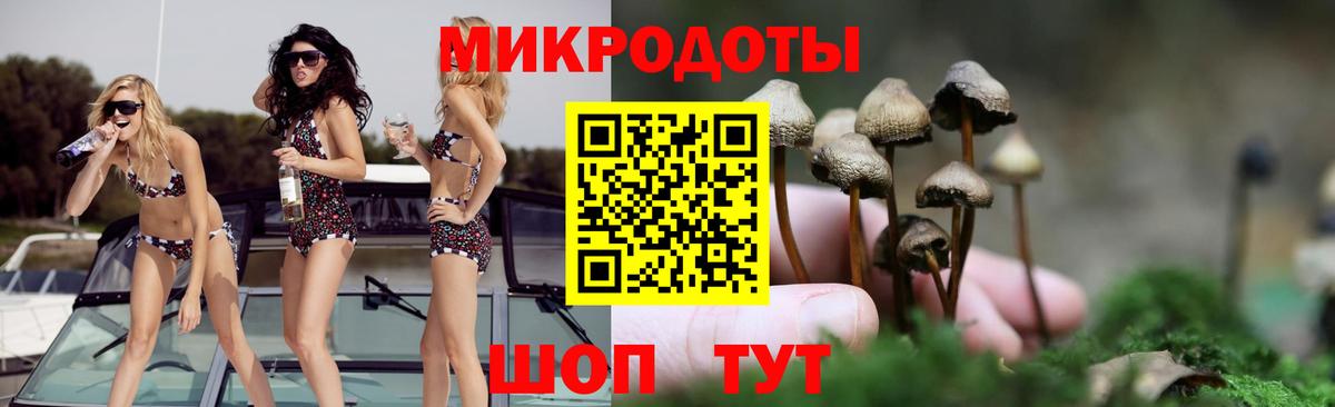 Галлюциногенные грибы ЛСД  Галлюциногенные грибы Psilocybe  Вход с VPN  Зима 